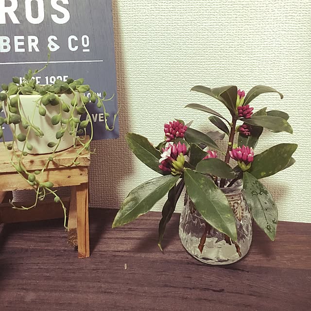 natsu.remonさんの実例写真
