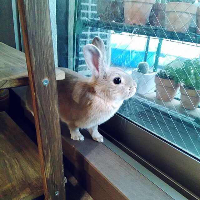 sachiko283さんの実例写真