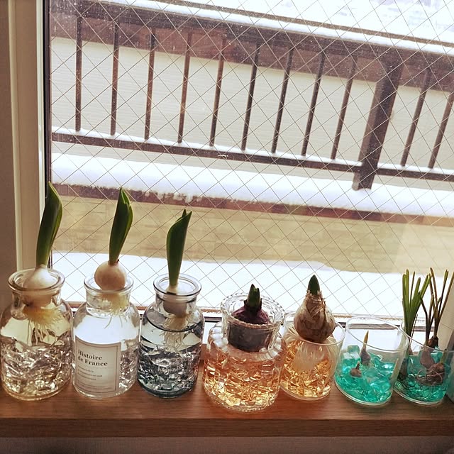 notさんの実例写真