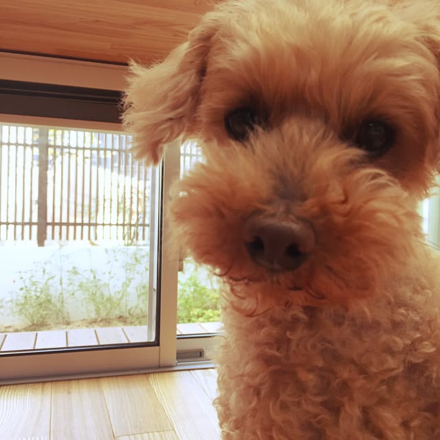 ultraさんの実例写真