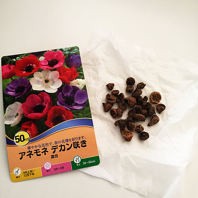 kirinchanさんの実例写真