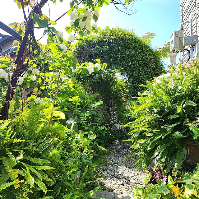 GreenHomeさんの部屋