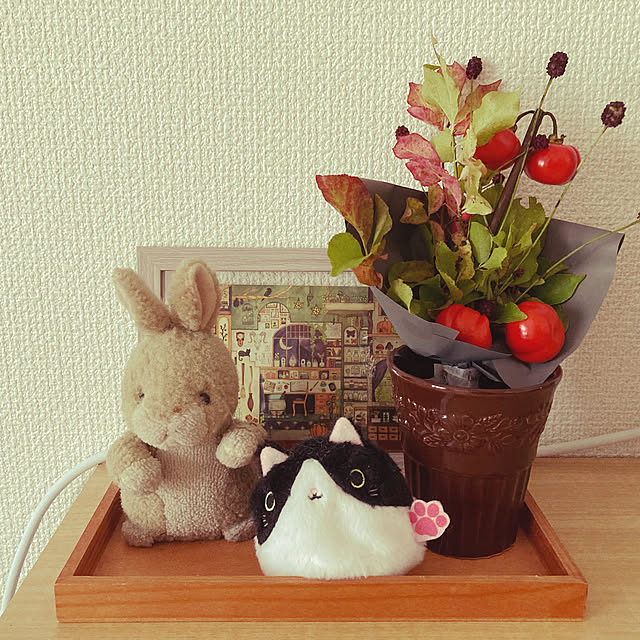 mizeroさんの実例写真