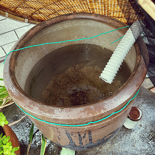 botanさんの実例写真