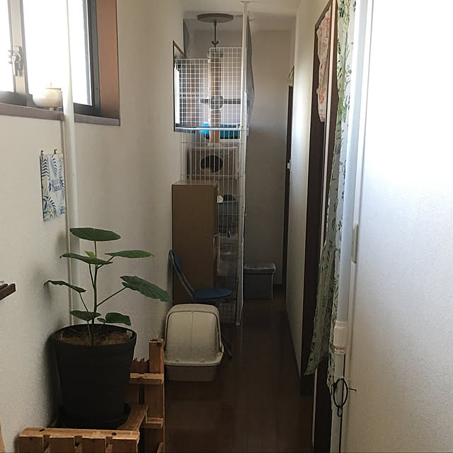 ayuさんの実例写真