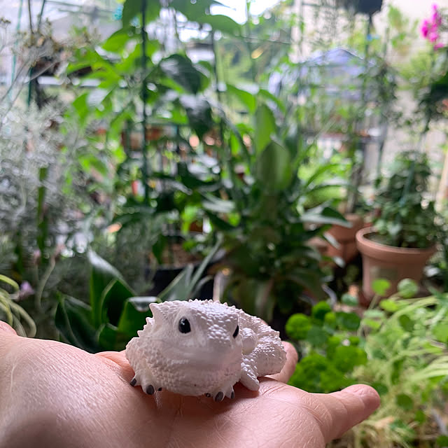 Aqettyさんの部屋