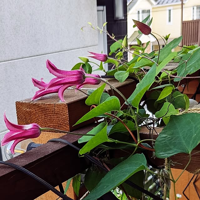 kazuさんの部屋