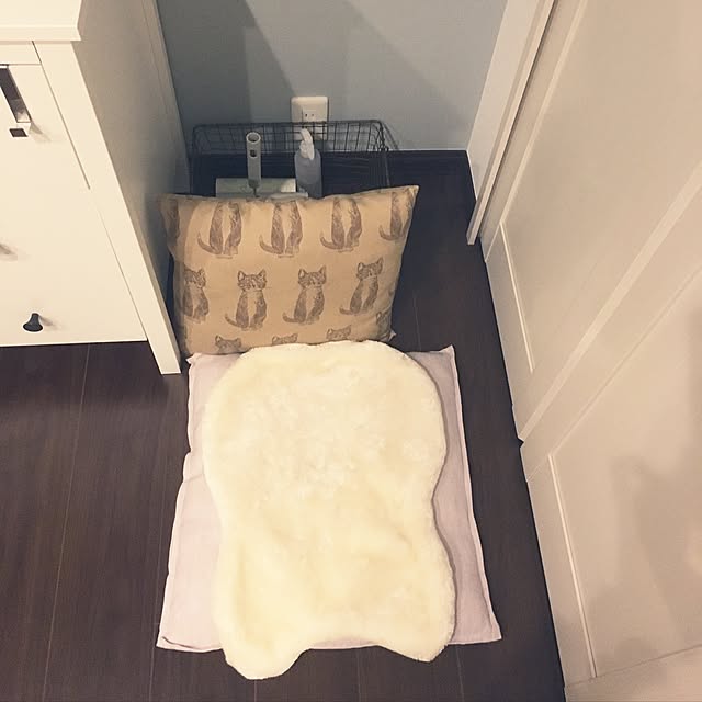 Tomocoさんの実例写真