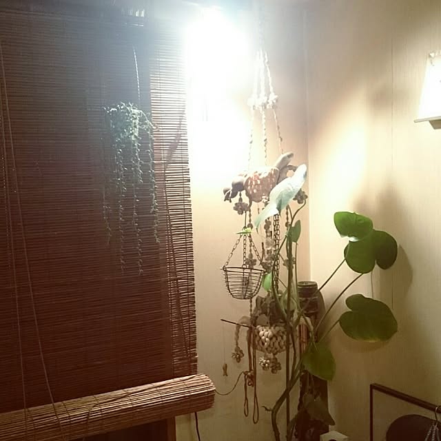 mily.yさんの実例写真
