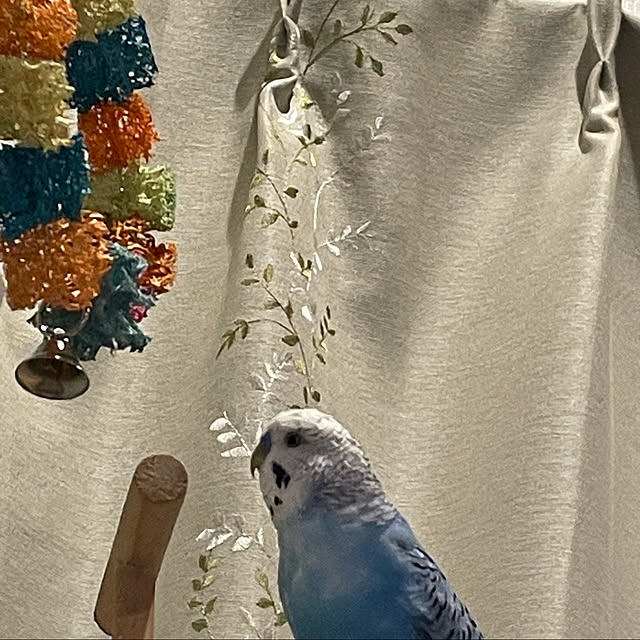 nahonさんの実例写真