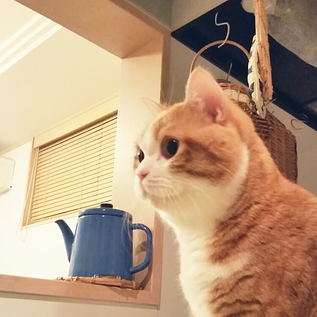 mi123さんの実例写真