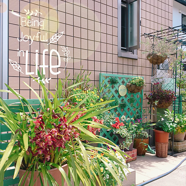 yuu38izu21さんの実例写真
