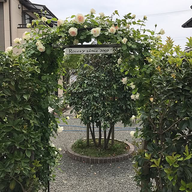 実例写真