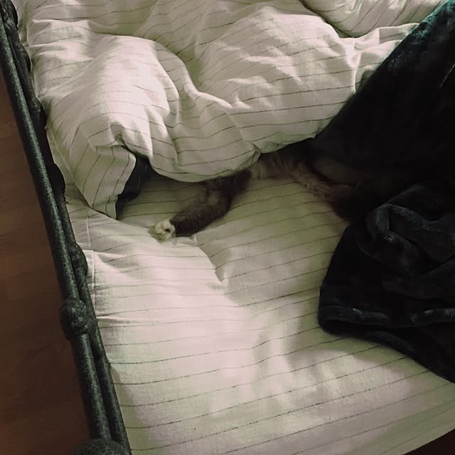 ベッド周りのインテリア実例 - 2016-12-12 17:46:35