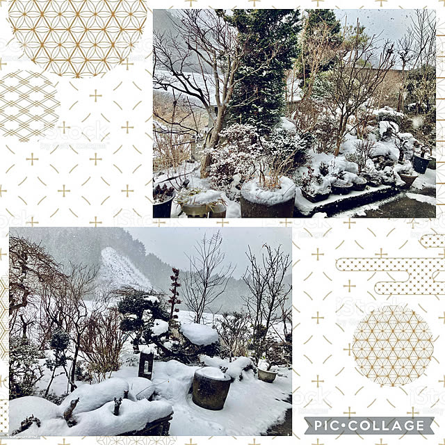 CoCo0617さんの実例写真