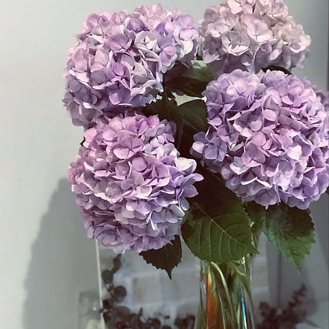 kimuraruさんの実例写真