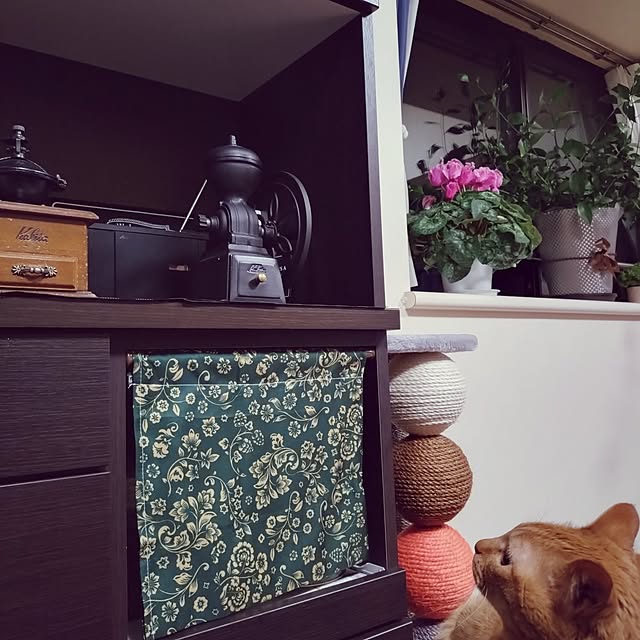 NOAHさんの部屋