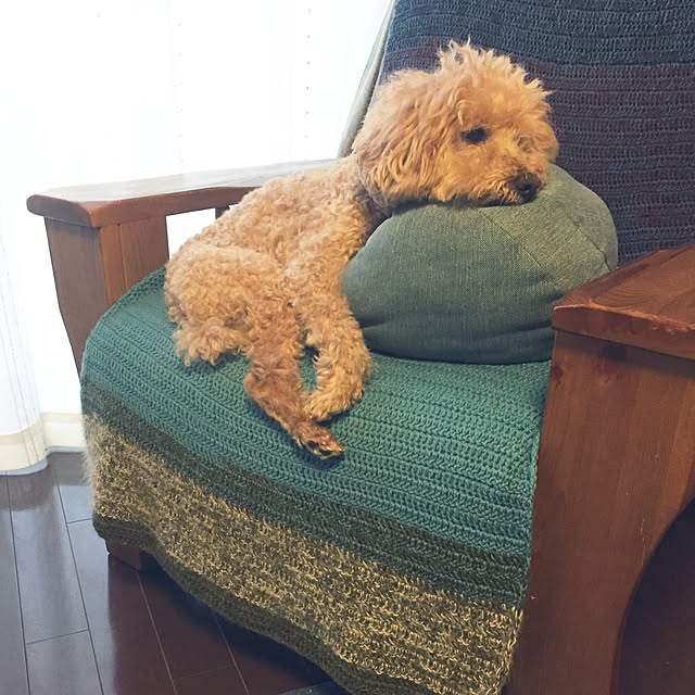 miruさんの実例写真