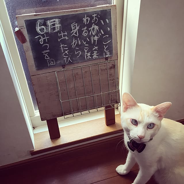 Rettiさんの実例写真