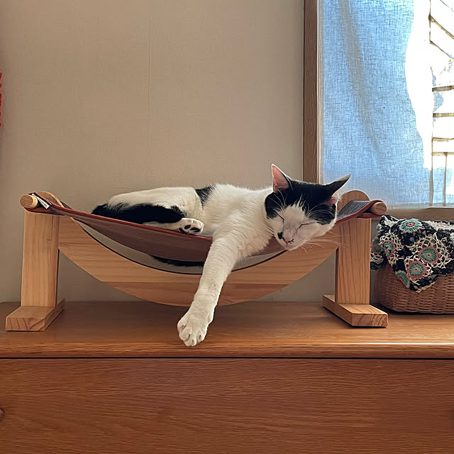 nobikoさんの部屋