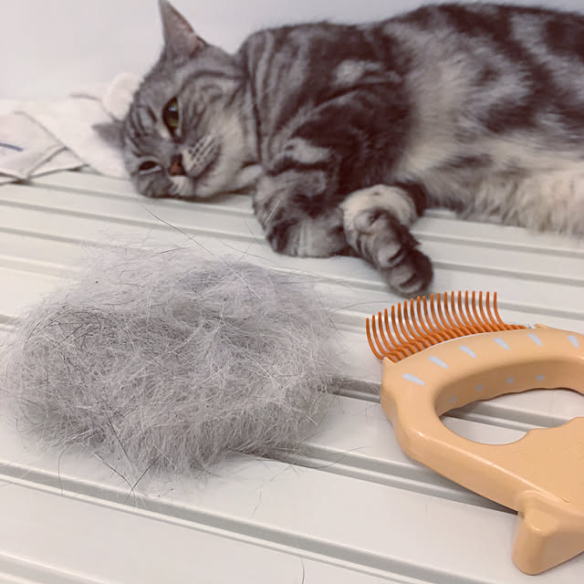 mikomaruさんの実例写真