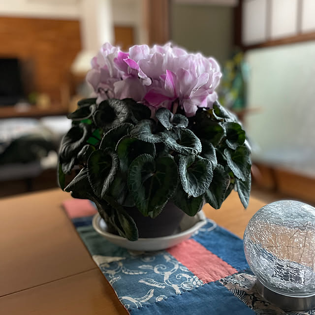 buchiさんの実例写真