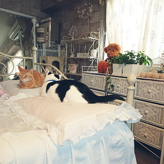 asuminさんの実例写真