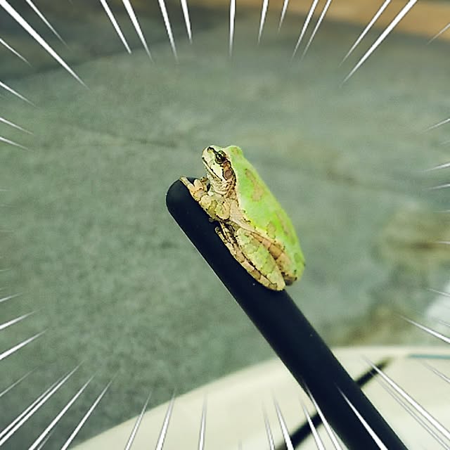 natsuさんの実例写真