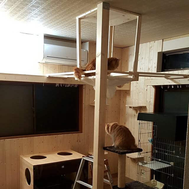 部屋全体のインテリア実例 - 2016-02-15 20:46:08