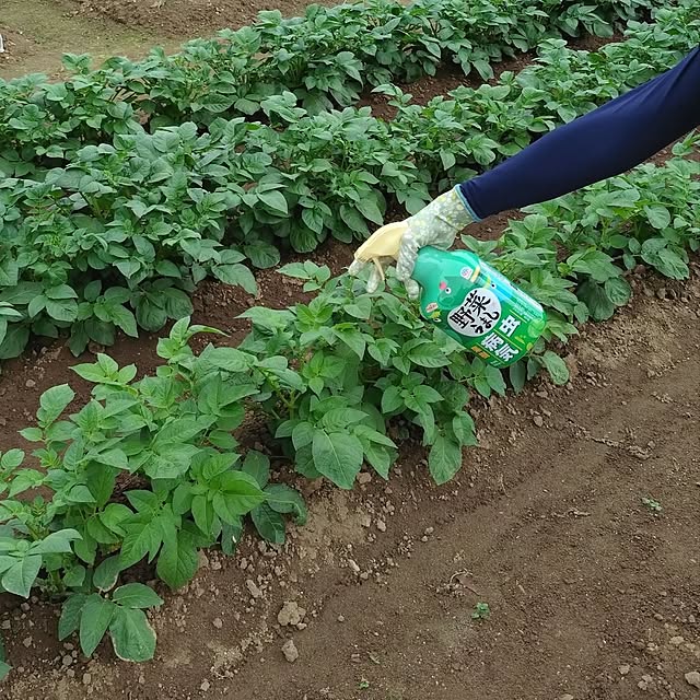 NOAHさんの実例写真