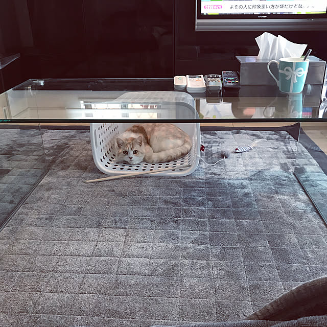 H.Tさんの実例写真