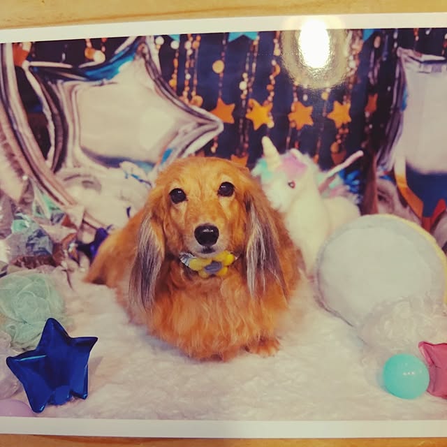 rikachakoさんの実例写真