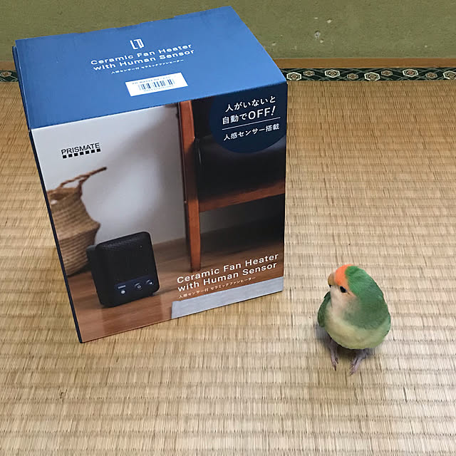 aoinokimiさんの実例写真