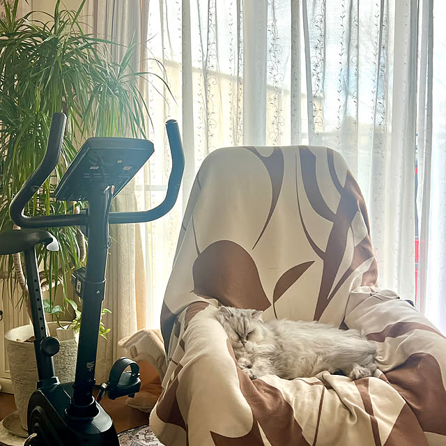 youさんの実例写真