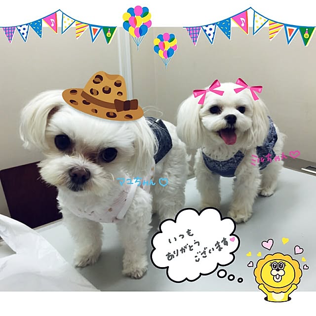 VIORAさんの実例写真