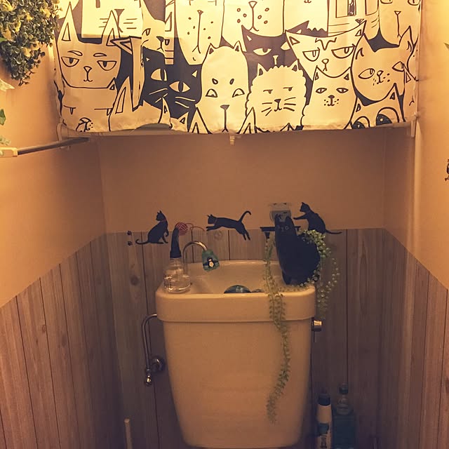 toumamaさんの実例写真