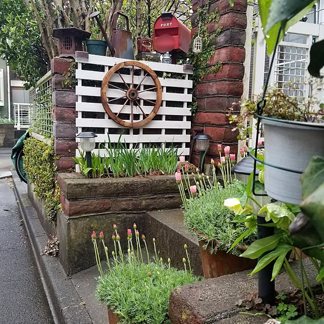 midoriさんの実例写真