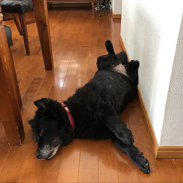sakaeさんの実例写真