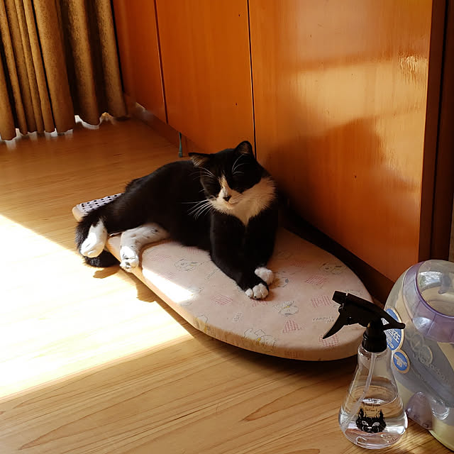 Mayumi8888さんの実例写真