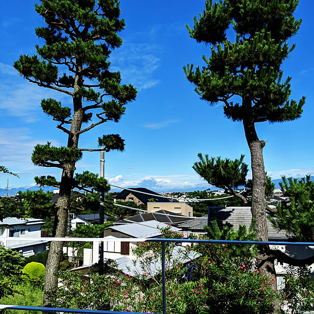 gooskaさんの実例写真