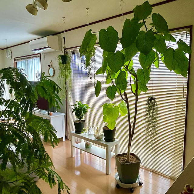 65-24oxoさんの実例写真