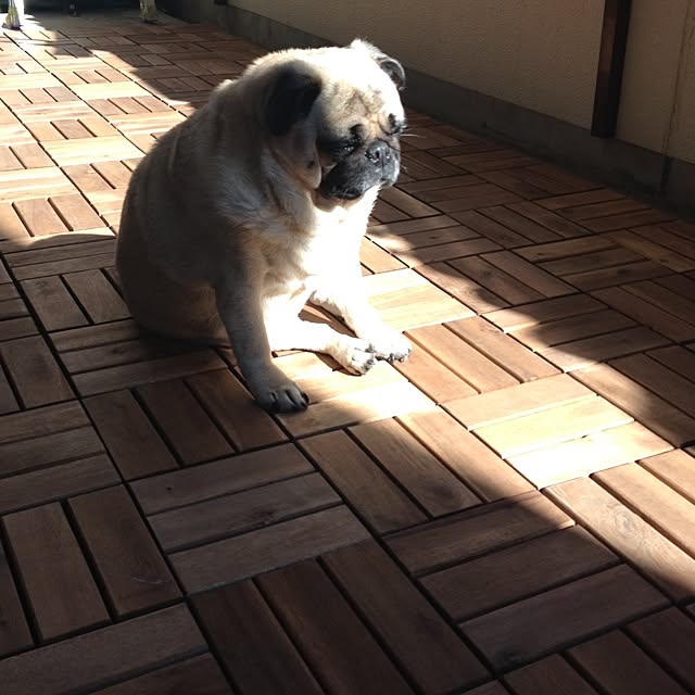 aiさんの実例写真