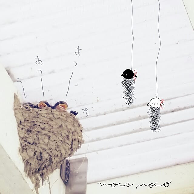 moco-mocoさんの実例写真
