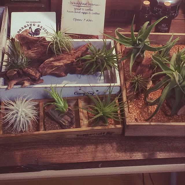 shey0510さんの実例写真