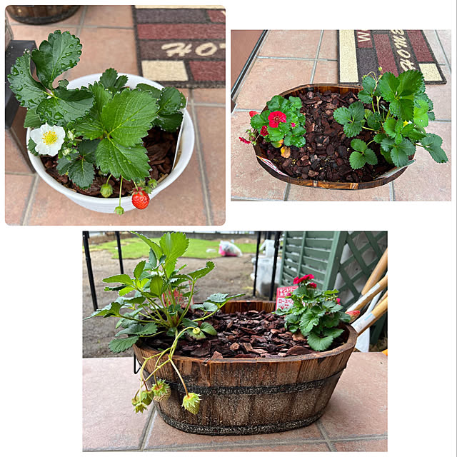 melmelさんの実例写真