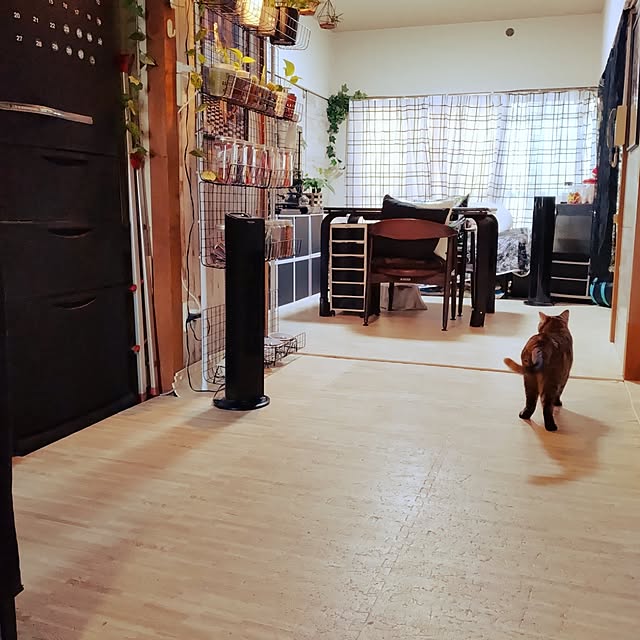 runaさんの部屋