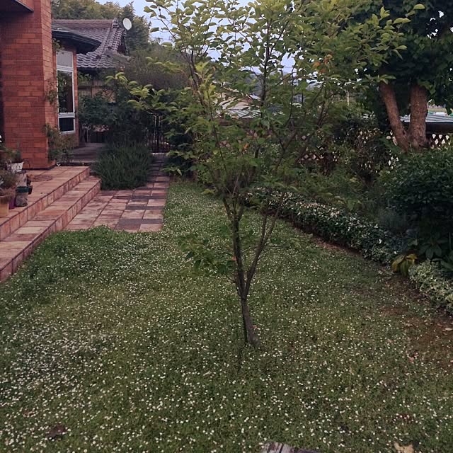 _Furutterさんの実例写真