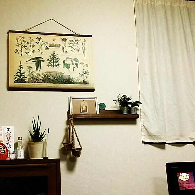 kakinotaneさんの実例写真