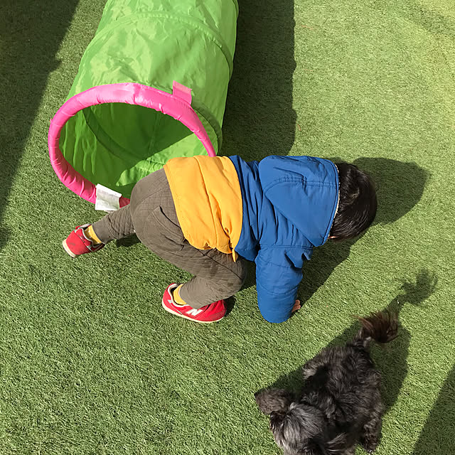 Ayumiさんの実例写真