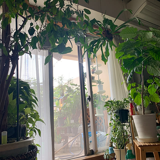 Aqettyさんの部屋